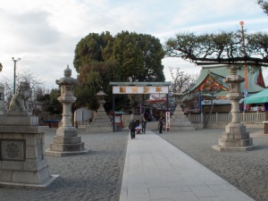 IMGP1461