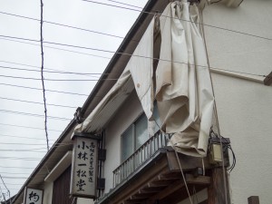 IMGP1564