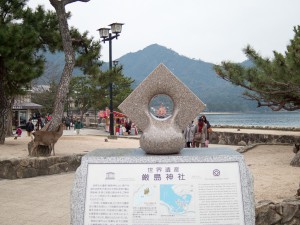 IMGP1584
